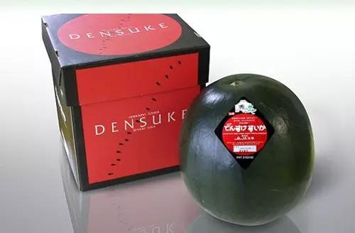 吃过最贵的海鲜是什么,吃过最奢侈的菜