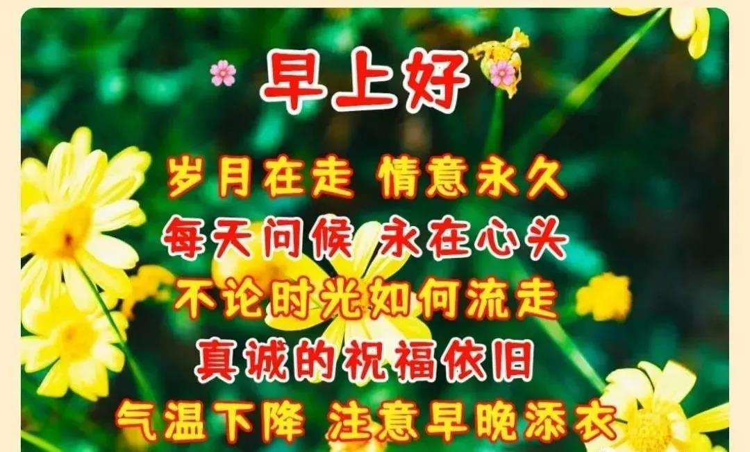 周一早安问候表情包,周末早上好表情包带字问候