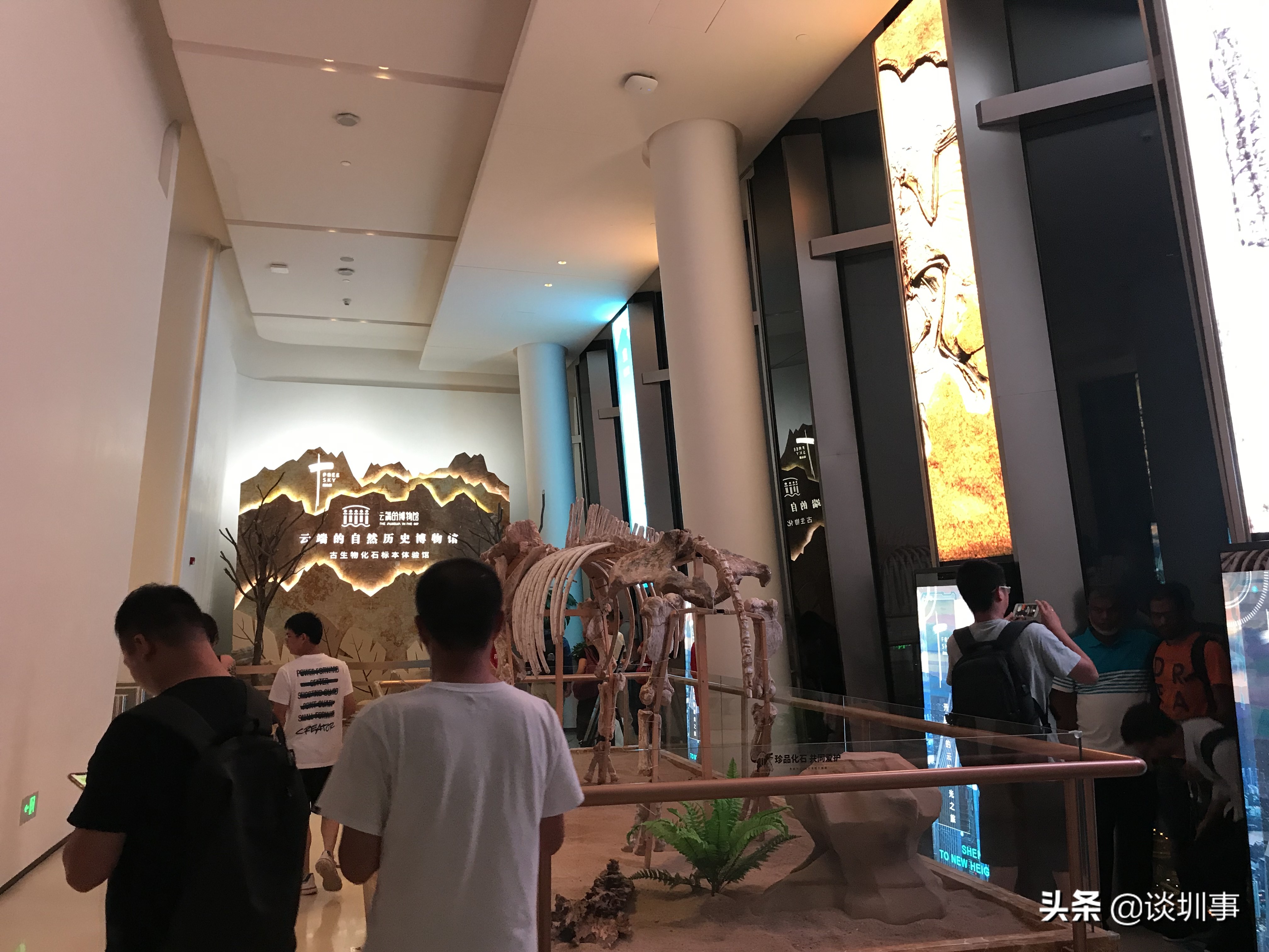 登顶深圳第一高楼,登上深圳平安金融大厦