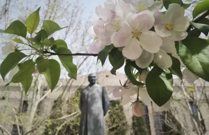 天津南开中学具有厚重的历史文脉,在天津学习心得体会