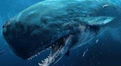 被鲸鱼吞下该如何自救,我被鲸鱼吞进肚子里你要怎么自救