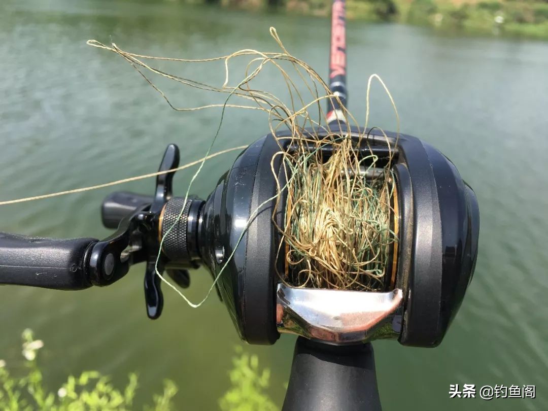 钓鱼圈也存在鄙视链？野钓黑坑吵得最凶，路亚在角落瑟瑟发抖