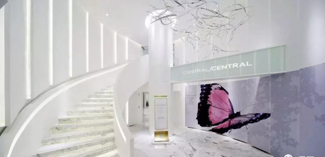 为啥鱼肚白大理石是最好的,白石的价格