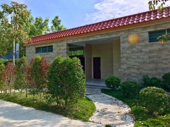 碧桂园助推乡村振兴奔向美好生活,碧桂园助力美丽乡村建设