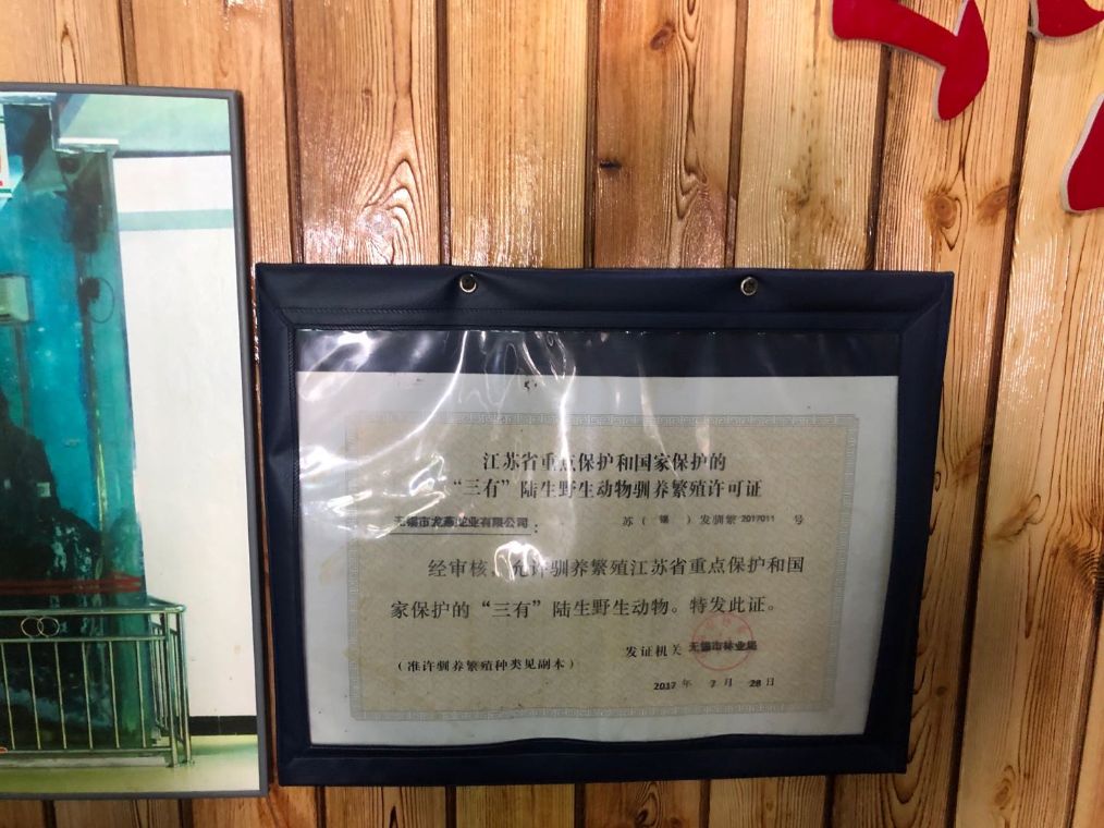 探访宜兴山区地下野味餐馆:依然有人顶风作案买卖穿山甲