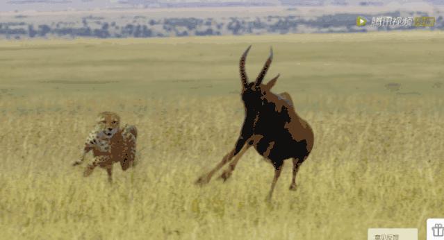 炸裂9.9，BBC再出神片，美得让人脸红