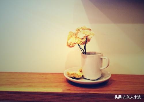 泡茶为什么要洗茶有什么讲究,泡茶哪些茶要洗茶