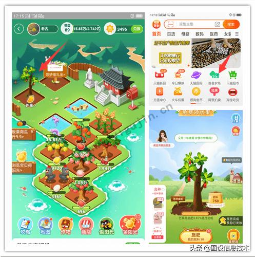 芭芭农场免费领的水果是什么样的,芭芭农场种果树兑换的水果怎么样