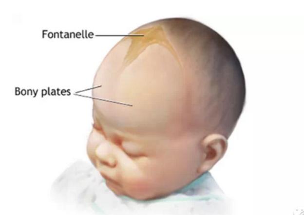 吃薄荷21天拉肚子是怎么回事,21天的宝宝拉肚子怎么办