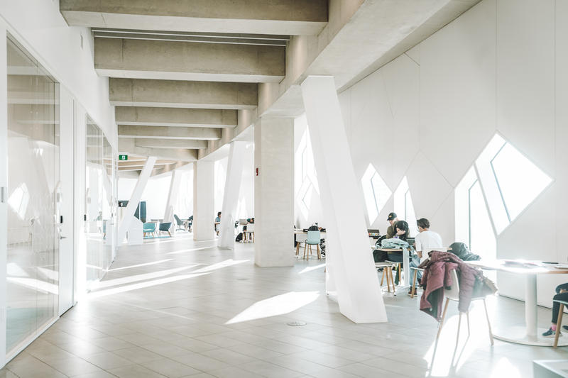 加拿大魁北克冰雪节,加拿大艾伯塔省节