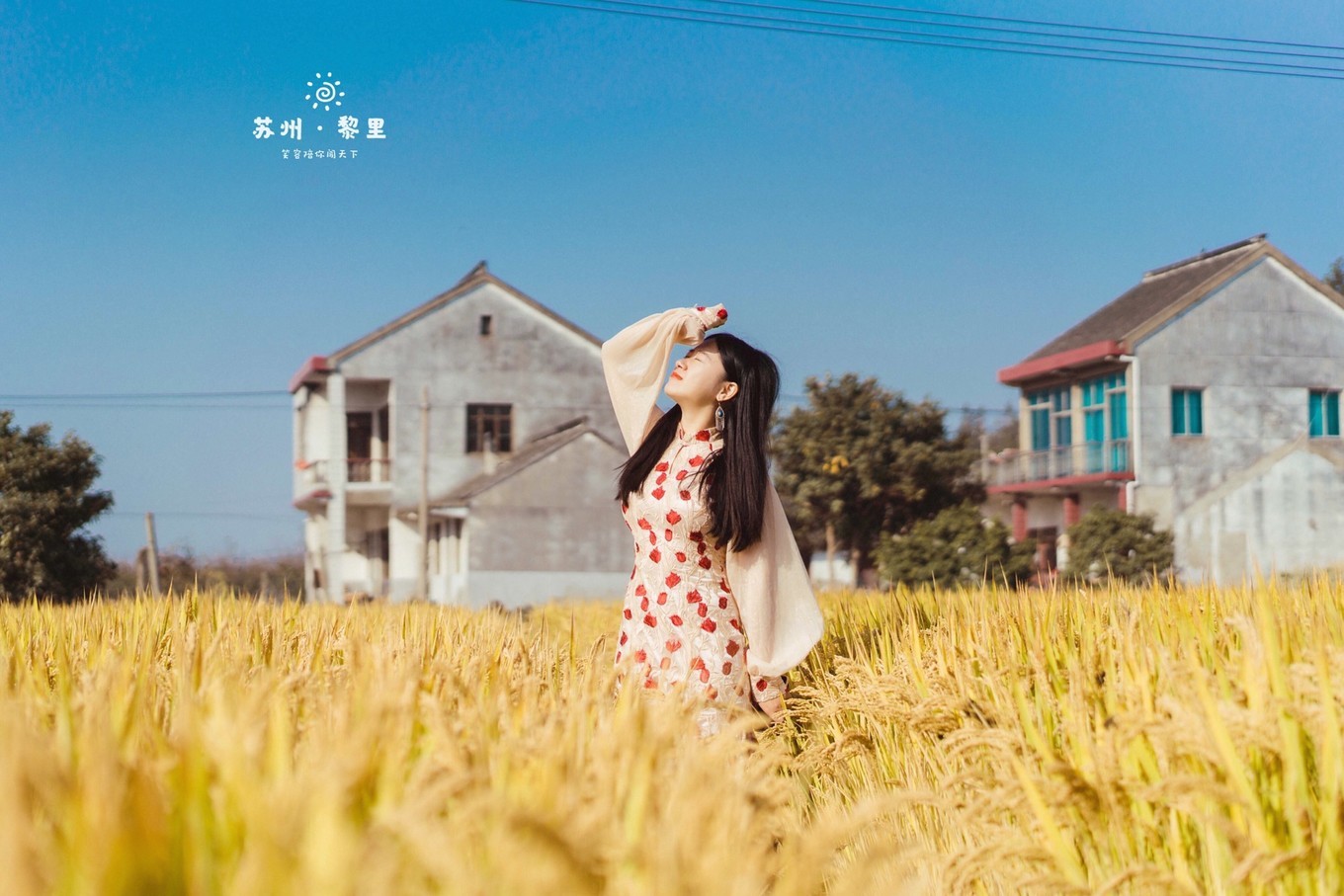 江南小众古镇视频,江南水乡小众又出名