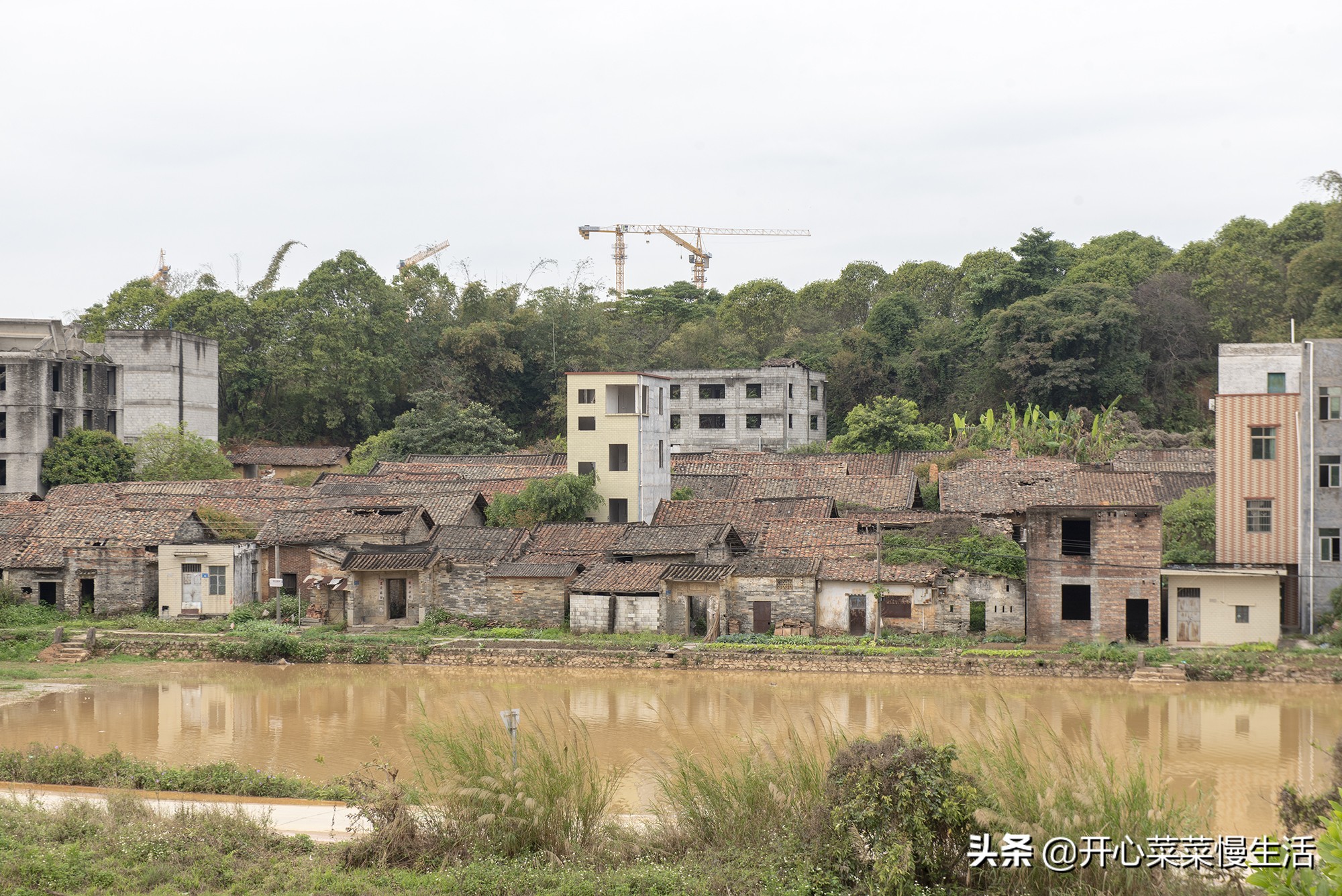 广州这个近900年历史古村要变了,广州古村落现状