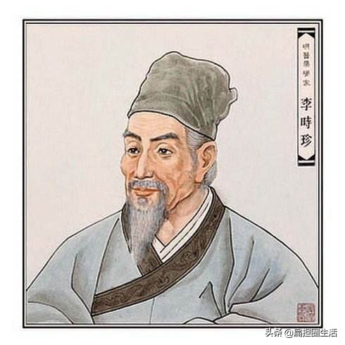 探访李时珍的医学智慧与传世经典,李时珍神医传奇给我们的启发