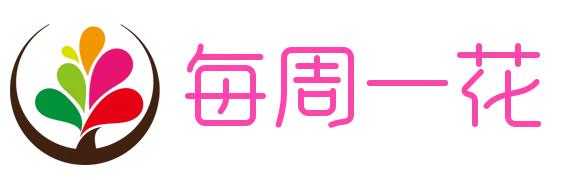 每周一花花艺,每周一朵鲜花