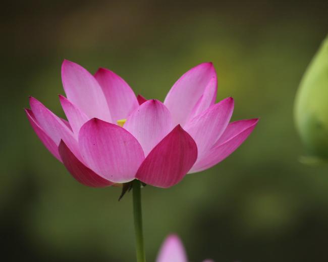 期货多强空弱交易原则,期货交易的一般原则