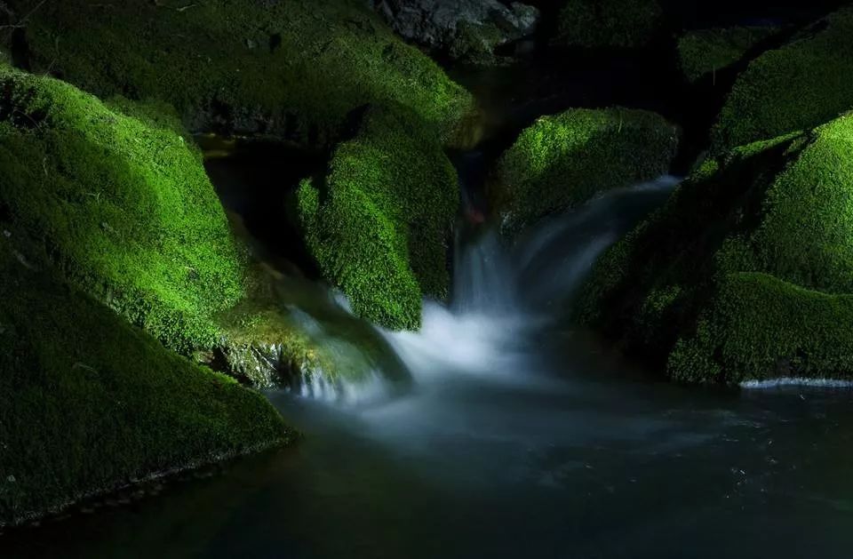 如何避免塑料水桶长青苔,怎样刷纯净水水桶的青苔