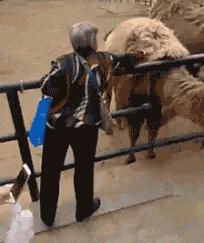 钱要怎么花才能越花越多,白金信用卡全解析