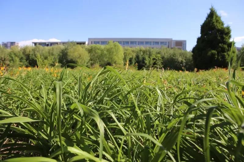 辽宁省普通高等院校（二十五）沈阳工程学院