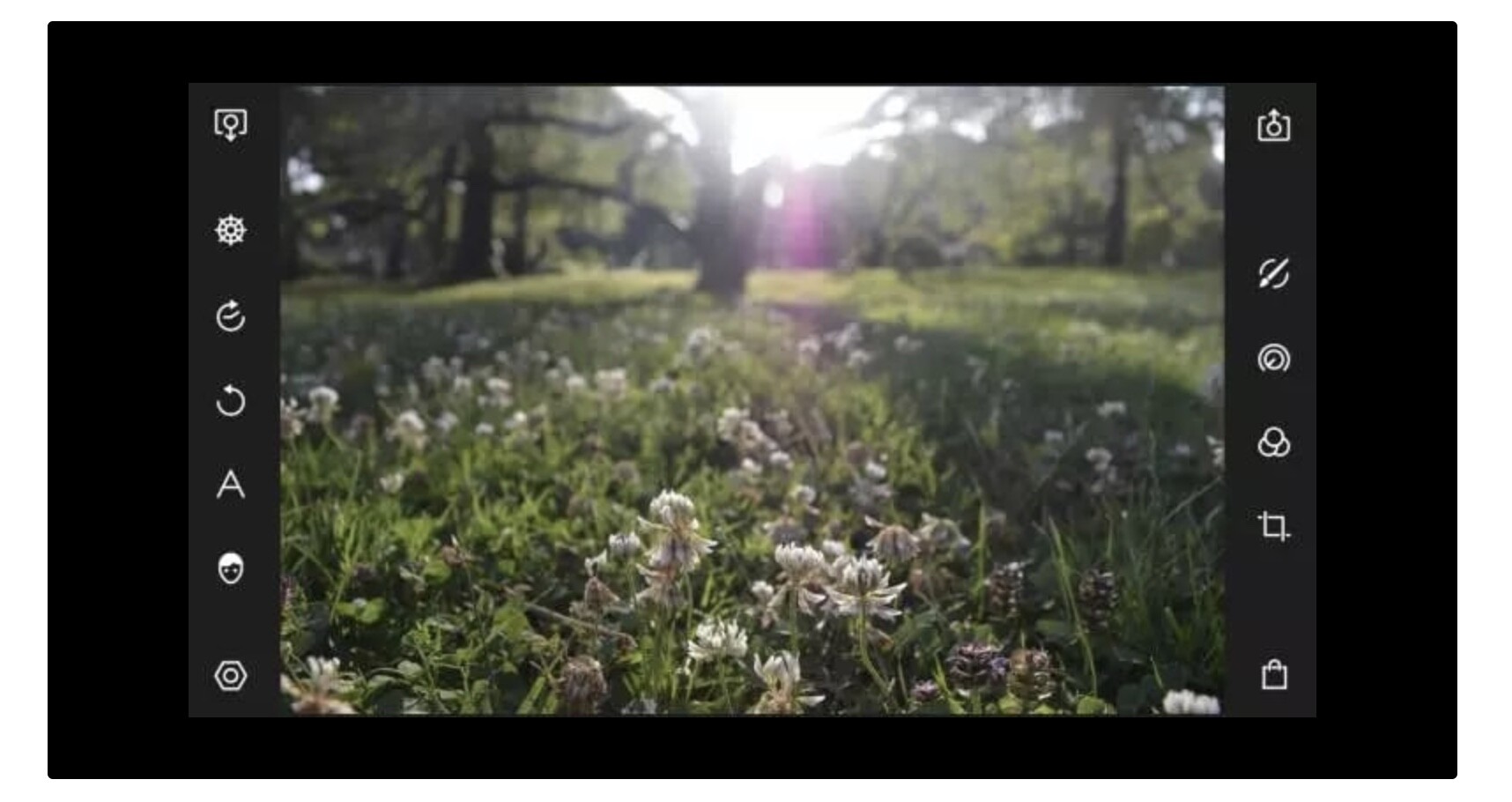 polarr调清晰度,polarrphotoeditor改变照片底色