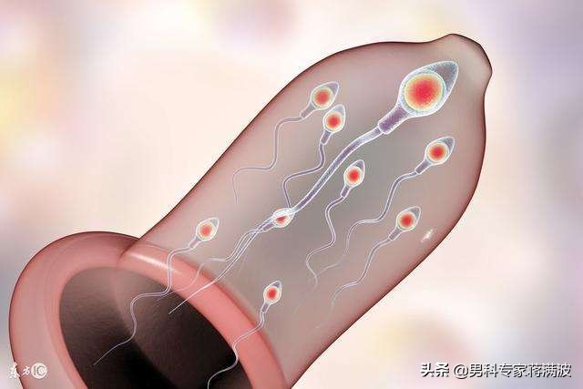 精子最快失活的办法,精子发生的四个阶段