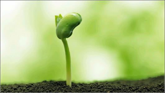 湖南学霸黄雨桐完整视频,黄雨桐学霸英语