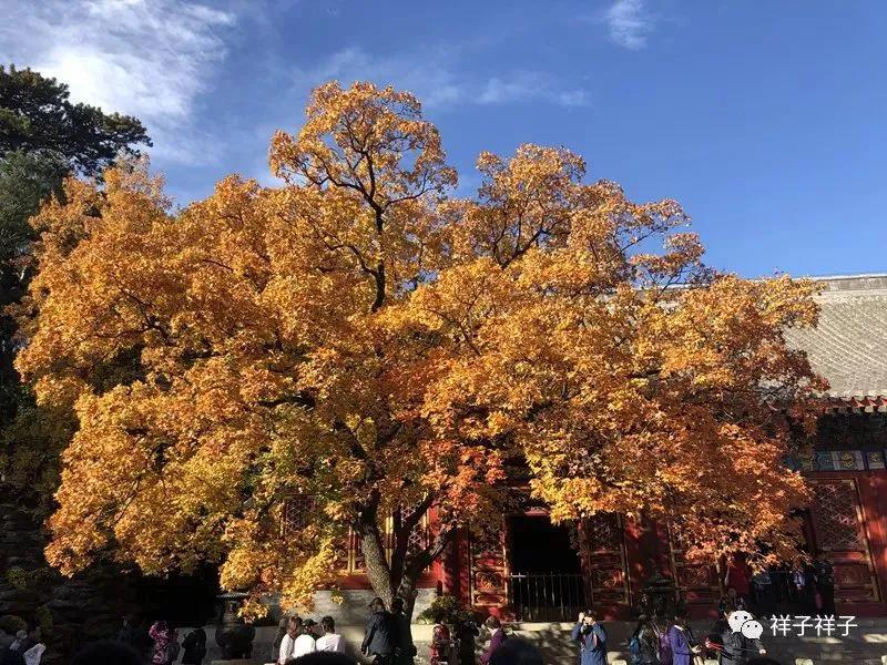 北京香山公园5.1攻略,香山静宜园二十八景