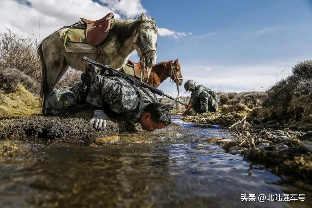 朗读者志愿军,朗读者军旅情怀