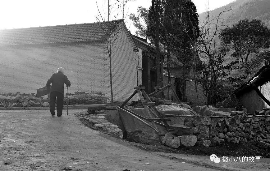 母亲永恒的话题,母亲永恒的温暖