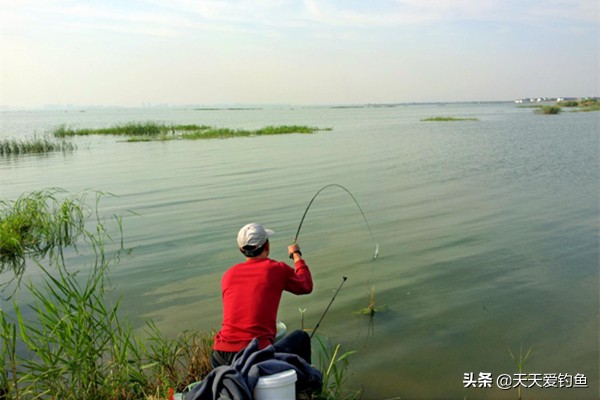 钓鱼无鱼咬钩，要不要换钓位？你还可以这样调整，很快能见效