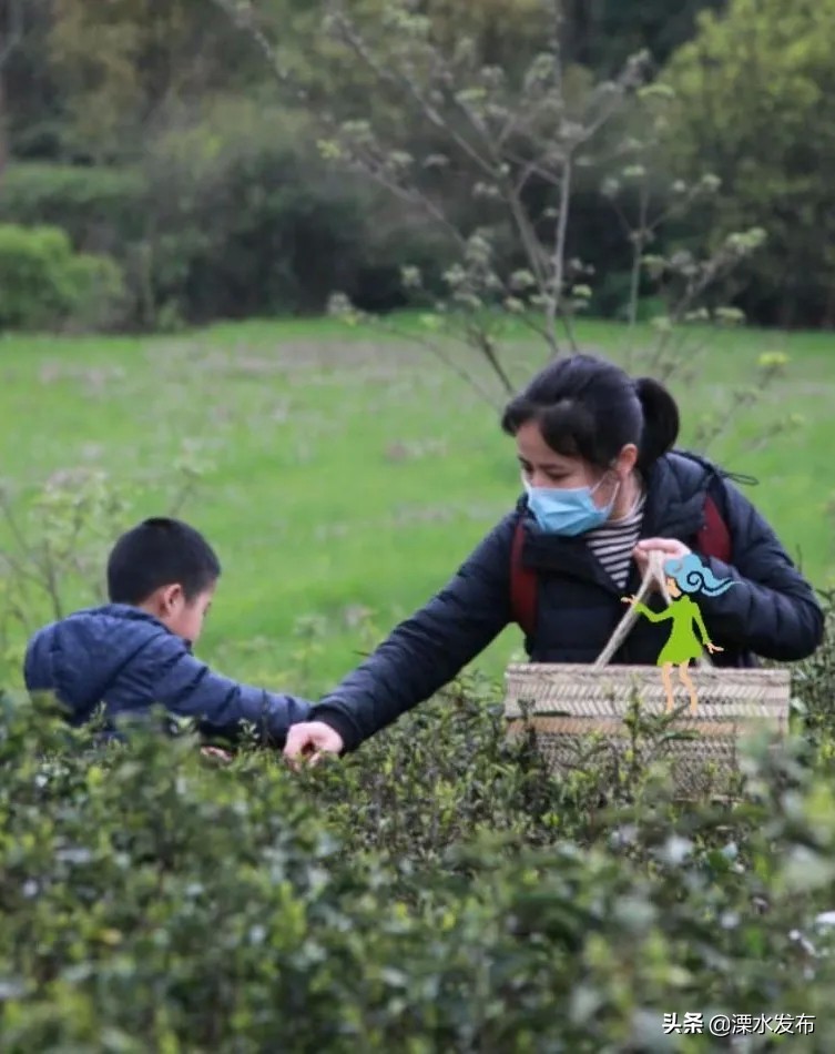 快收藏!溧水两条春日宝藏线路来了~