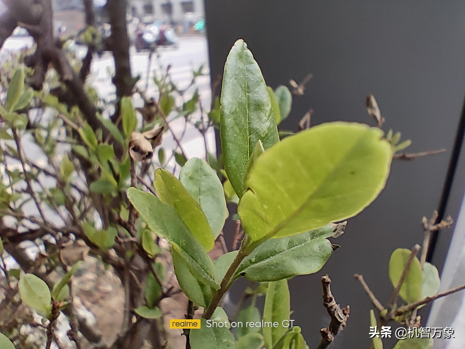 realme真我gt黄色沉浸式开箱,realme全新性能旗舰真我gt发布