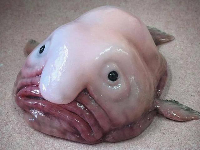 大海到底有多深大海深处又是什么,大海有多深翻译