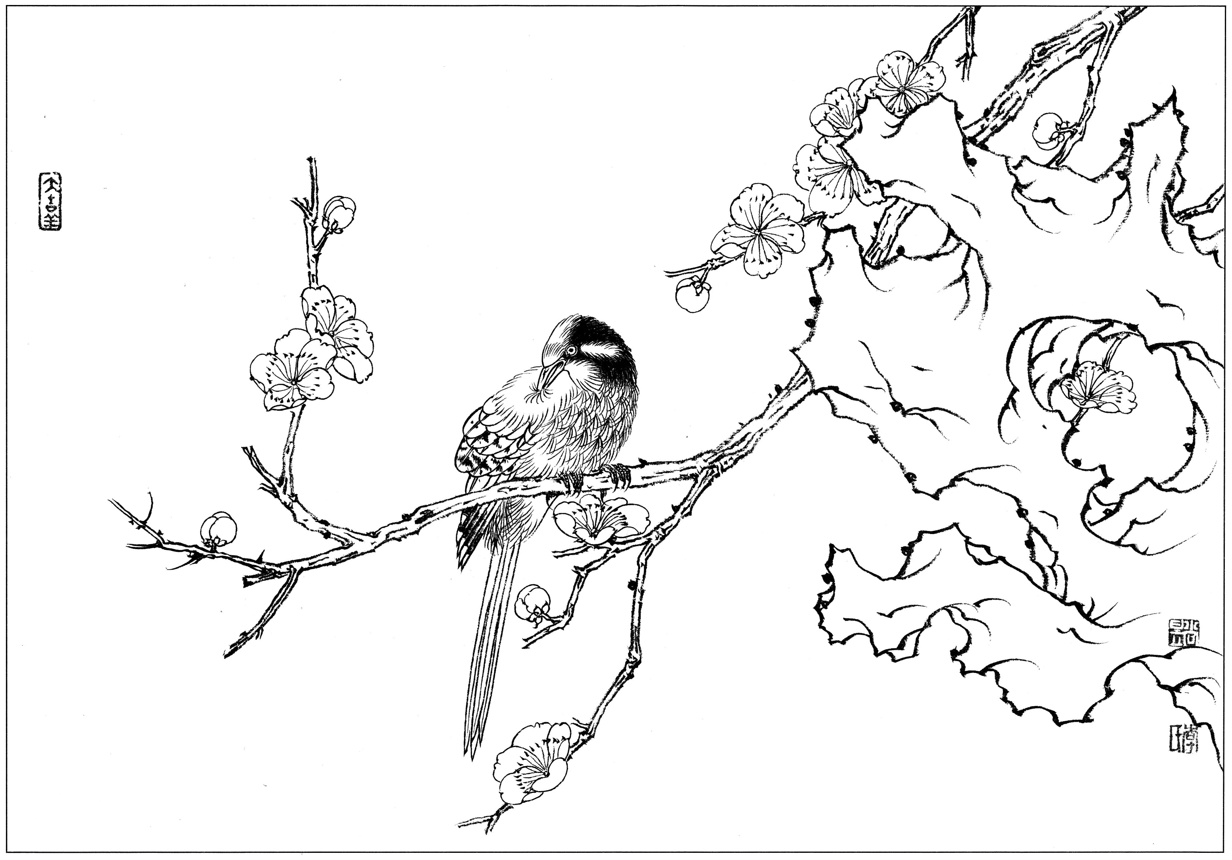 花鸟工笔四条屏白描高清大图,牡丹六尺横幅白描工笔花鸟底稿