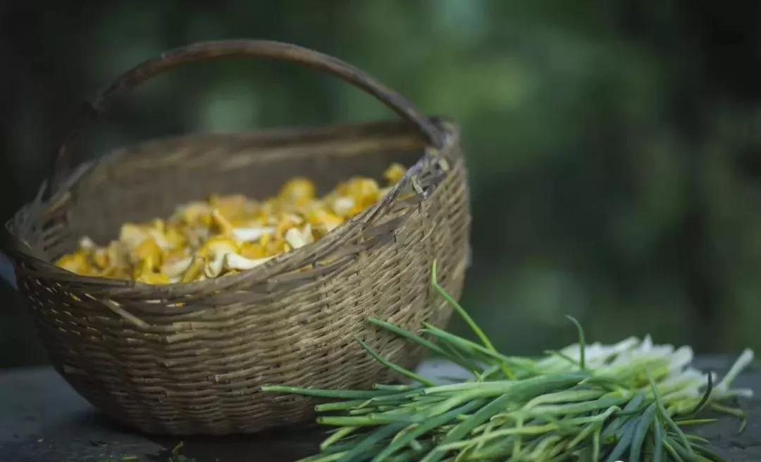 80后夫妻住山,80后两口子隐居大山