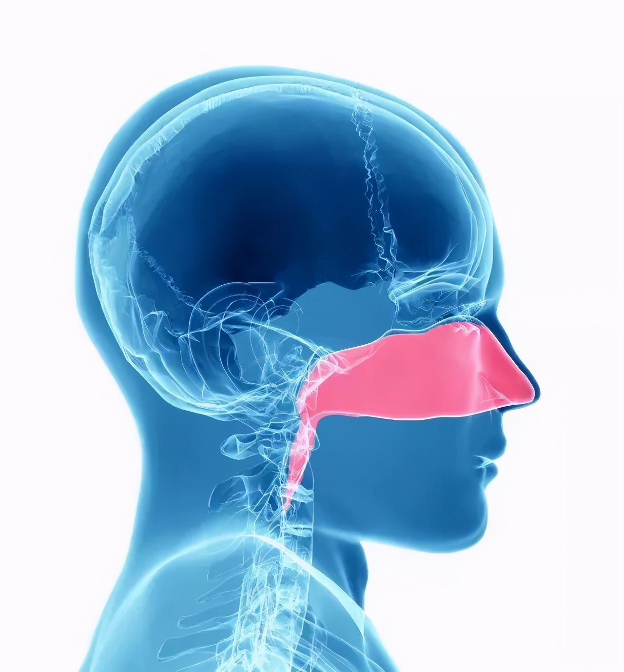 鼻孔会越挖越大吗？挖鼻孔还可能会住进ICU