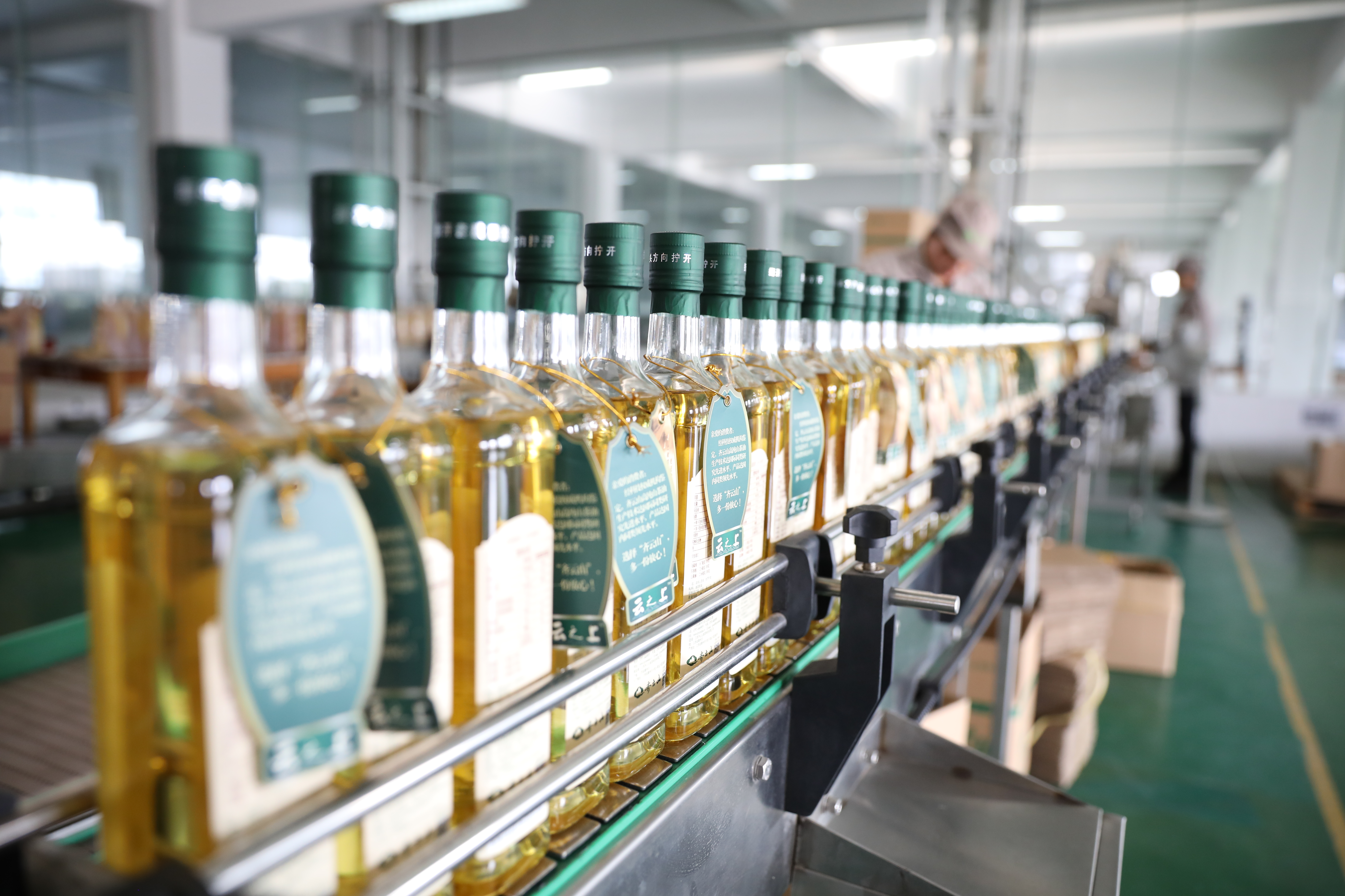 茶油加工车间,山茶油展厅案例