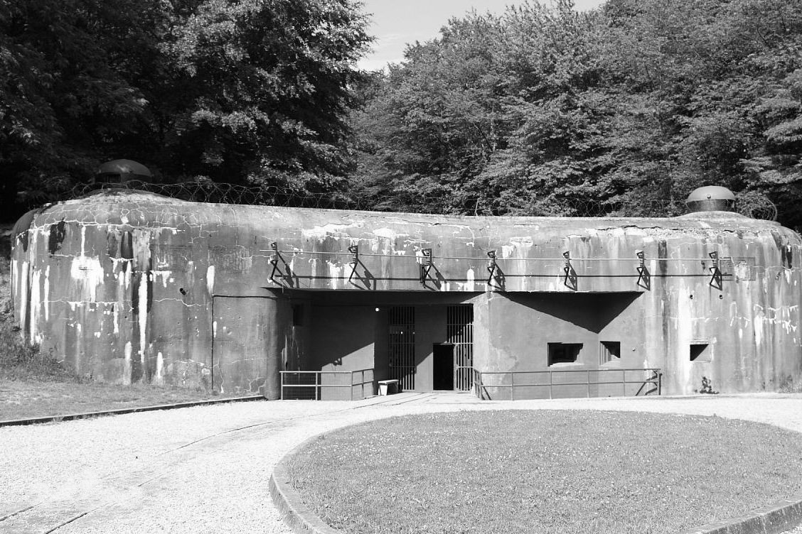 抗战老兵退伍后当民警,退伍军人当粮站站长