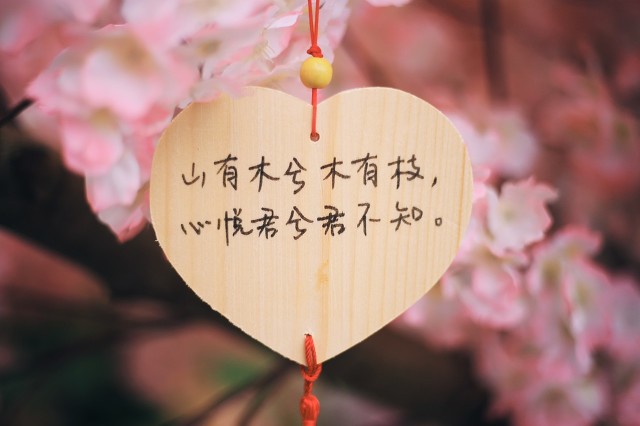 慢热型的3个星座9月桃花开,9月容易收获美好恋情的4大星座