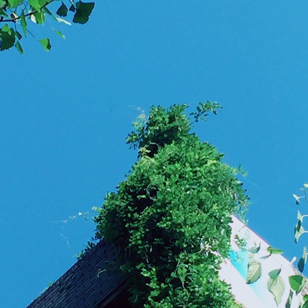 武汉这个美得像城堡一样的大学,你打卡了吗?