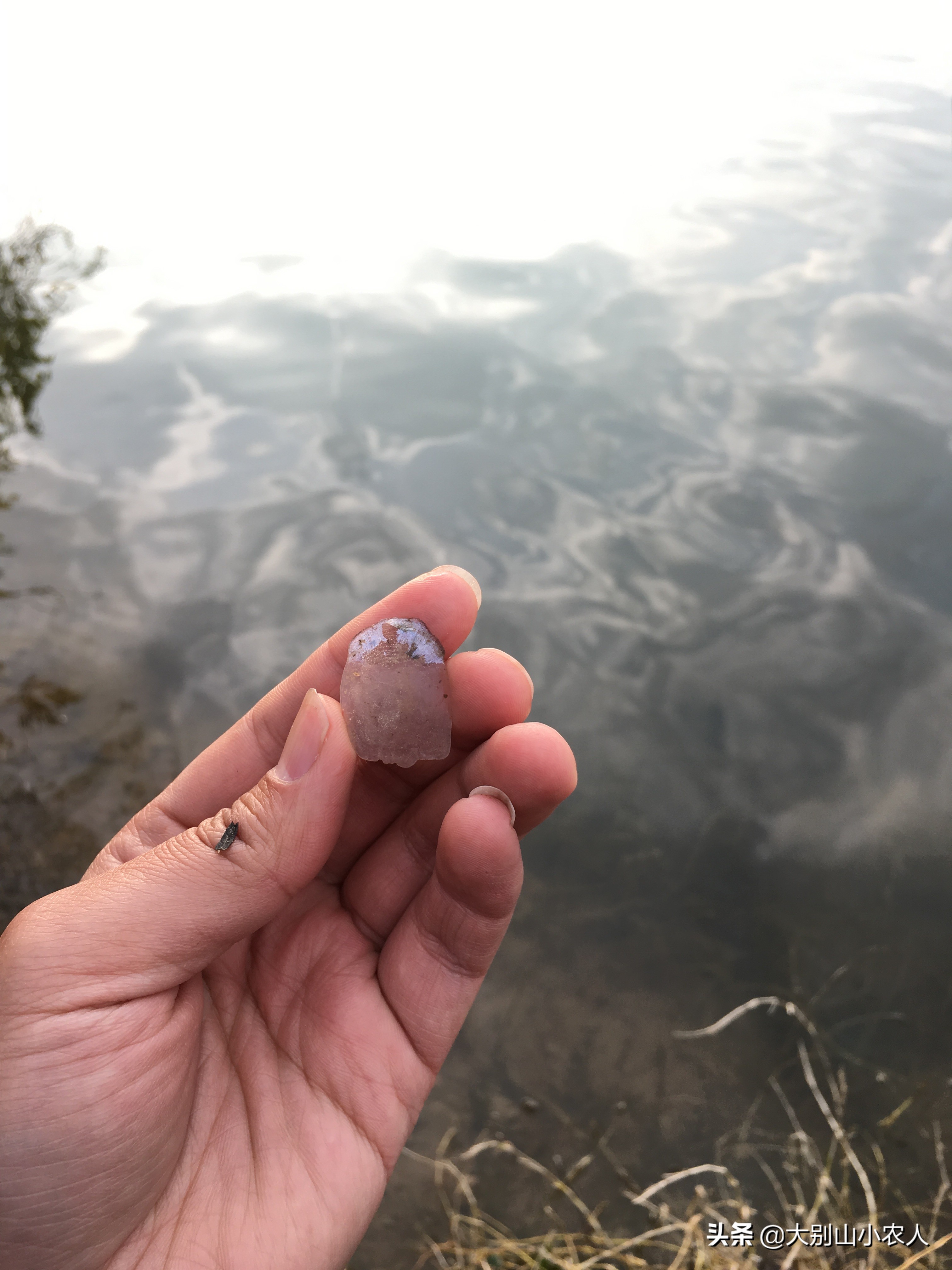 搓饵加酒米的使用方法,搓饵粘粉正确使用方法