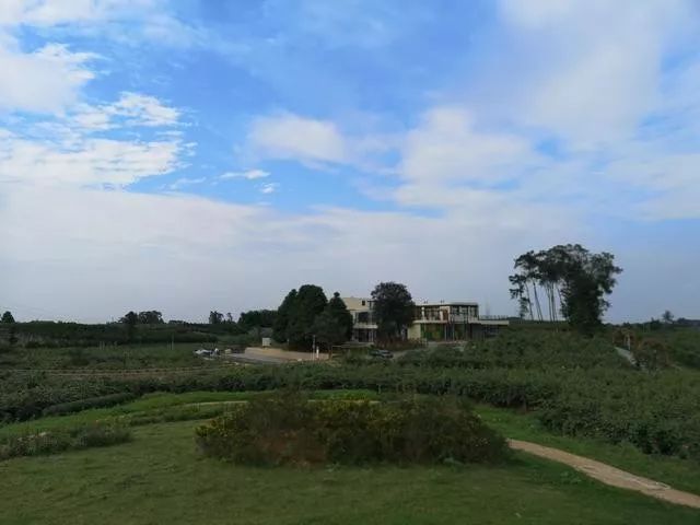 3月底蒲江十大网红打卡地,蒲江旅游十大必去景点