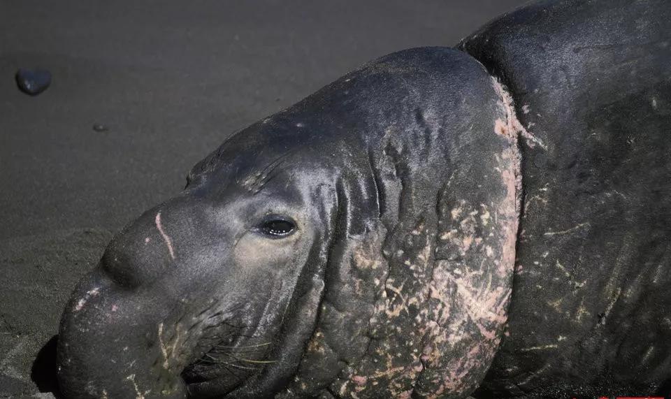 上海现在垃圾分类怎么样了,上海垃圾分类目前的现状