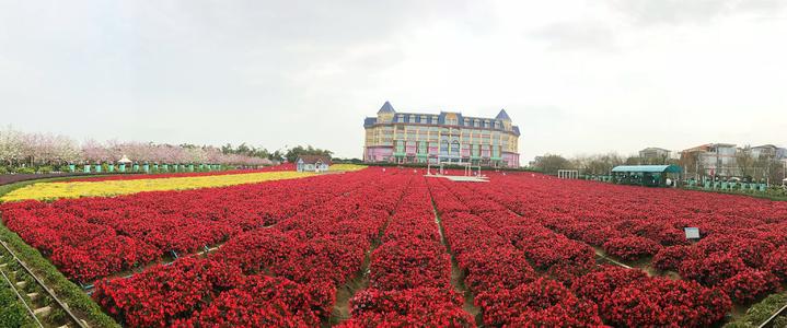 广州4a级景区旅游景点,广州5a旅游景区名单大全