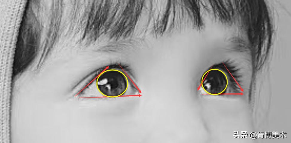 画人像学哪种,适合新手画人的绘画