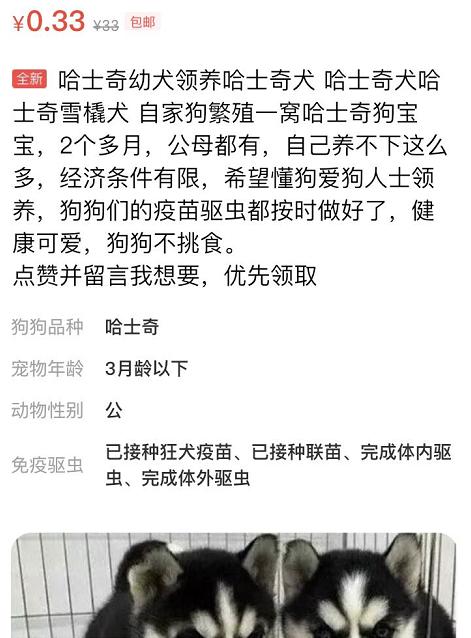 闲鱼买卖狗狗靠谱吗,闲鱼上卖的狗狗靠谱吗