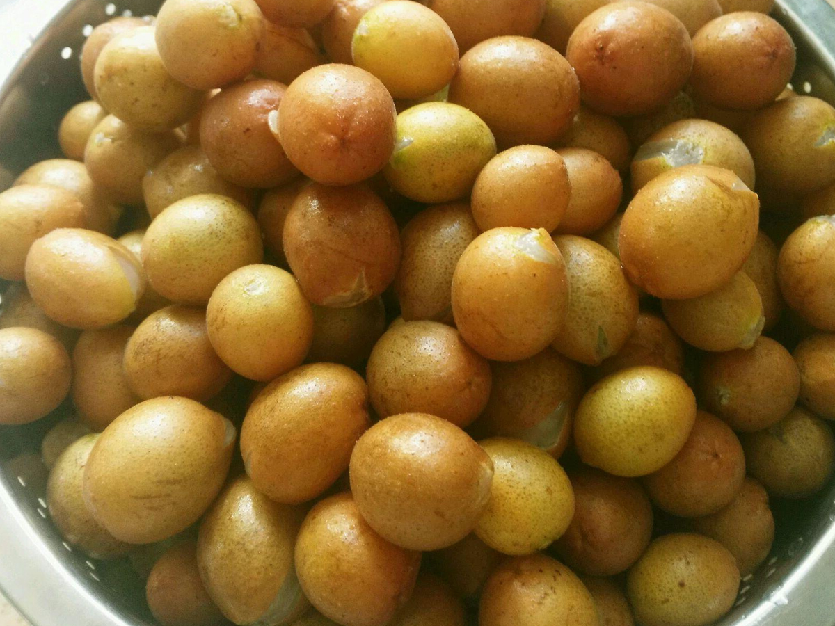 荔枝和什么水果搭配不上火,应季水果荔枝芒果