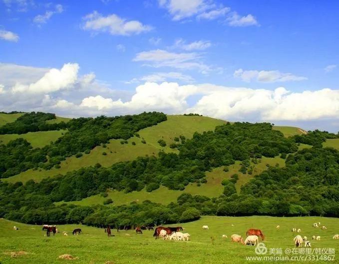 羲皇故里龙城天水,羲皇故里渭水河边