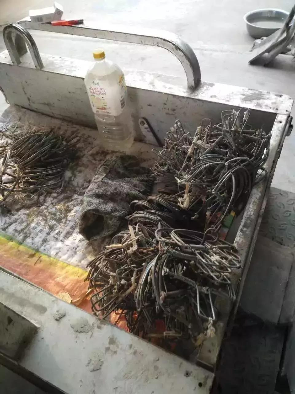 从禾花雀到云雀，又一种鸟快被中国人吃绝种了！