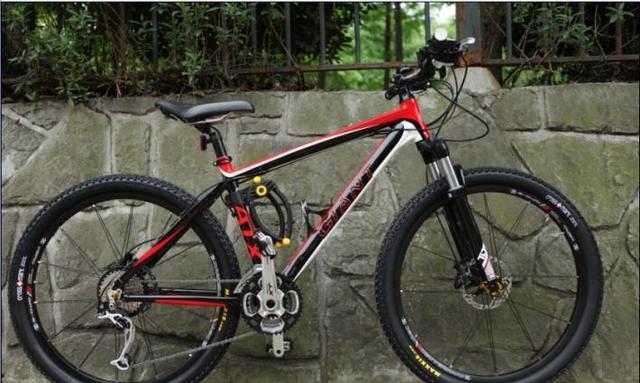 捷安特和普通自行车有什么区别,捷安特自行车为什么这么好骑