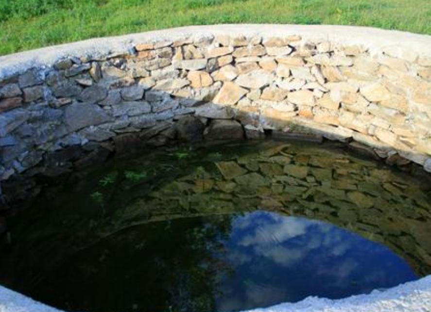 济南野生动物世界自驾游最佳攻略,济南到呼伦贝尔大草原自驾游攻略